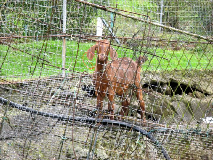 2008-04 Reunion 003.jpg